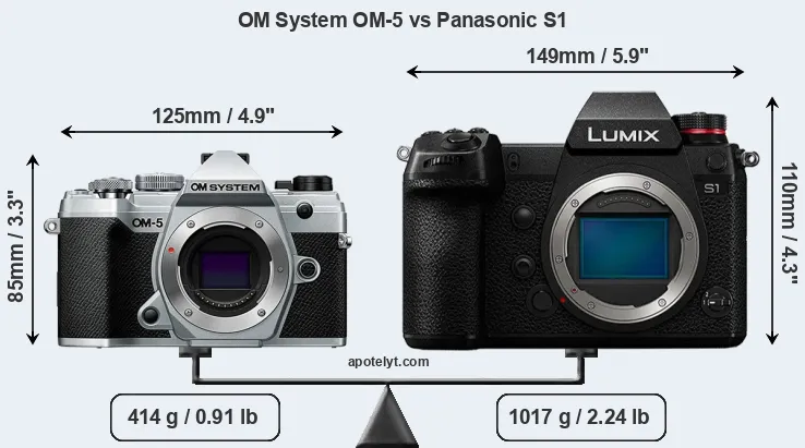 Size OM System OM-5 vs Panasonic S1
