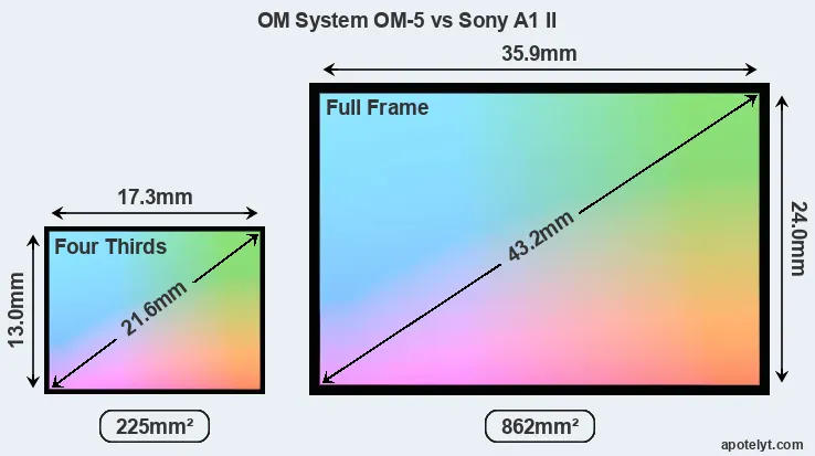 OM System OM-5 and Sony A1 II sensor measures