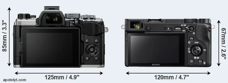 Comparison OM-5 or A6300 rear