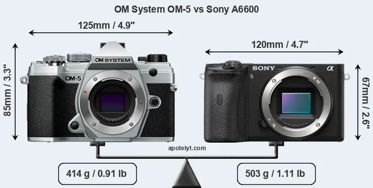 Size OM System OM-5 vs Sony A6600