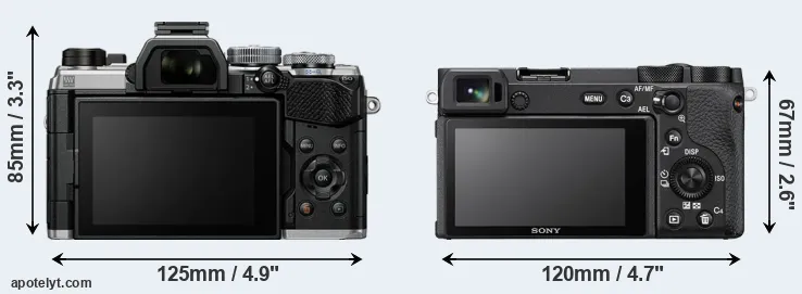 Comparison OM-5 or A6600 rear