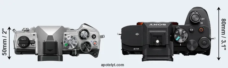 Compare OM-5 versus A7 IV top