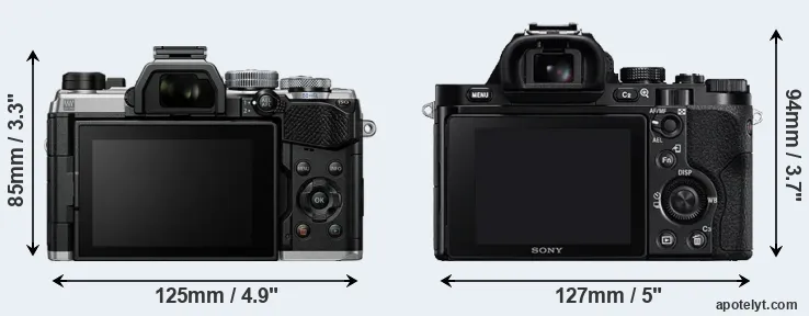 Comparison OM-5 or A7R rear