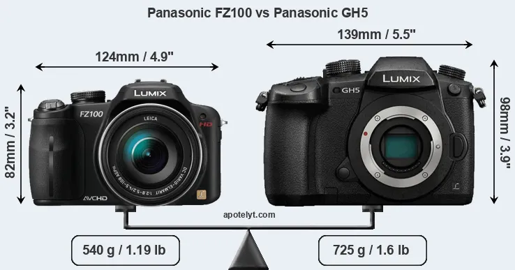 Size Panasonic FZ100 vs Panasonic GH5