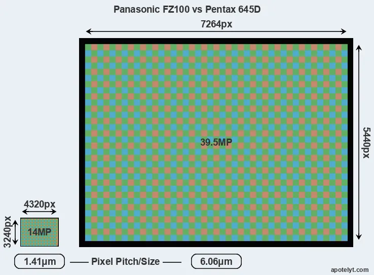 FZ100 versus 645D MP