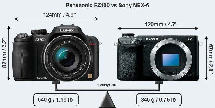 Size Panasonic FZ100 vs Sony NEX-6