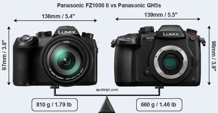 Size Panasonic FZ1000 II vs Panasonic GH5s