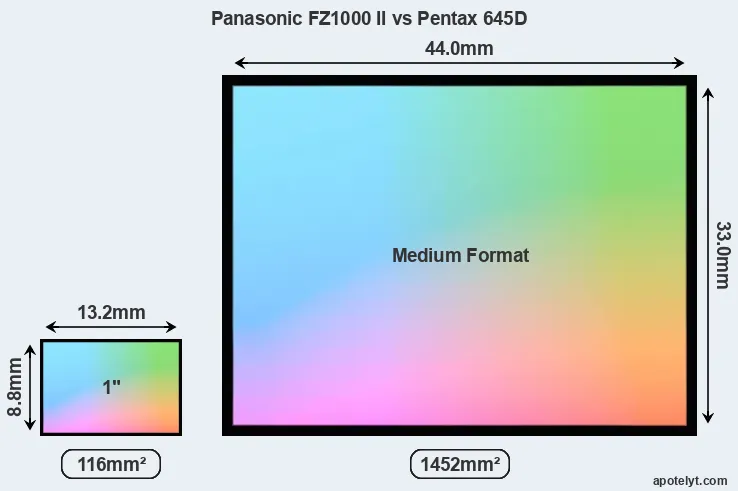 Panasonic FZ1000 II and Pentax 645D sensor measures