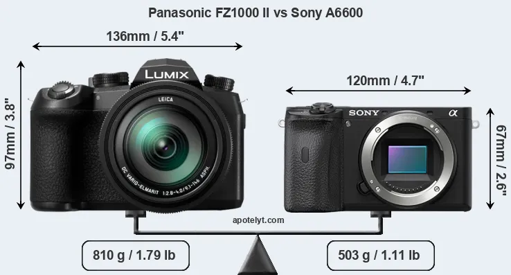 Size Panasonic FZ1000 II vs Sony A6600