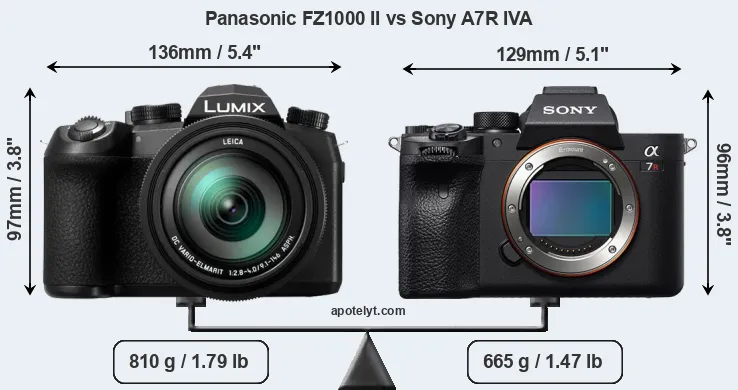 Size Panasonic FZ1000 II vs Sony A7R IVA