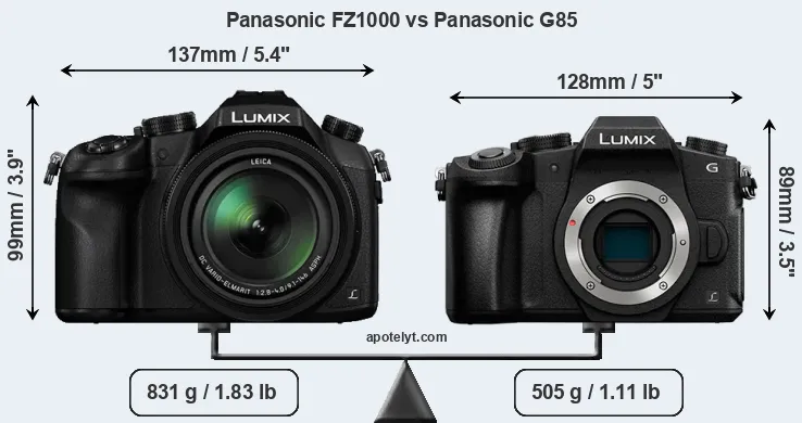 Size Panasonic FZ1000 vs Panasonic G85