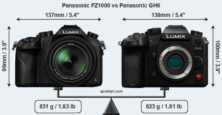 Size Panasonic FZ1000 vs Panasonic GH6