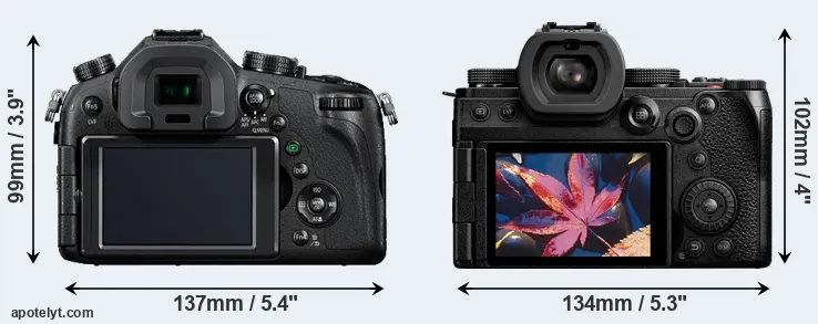 Comparison FZ1000 or S5 II rear