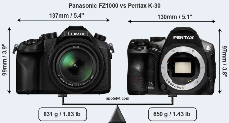 Size Panasonic FZ1000 vs Pentax K-30