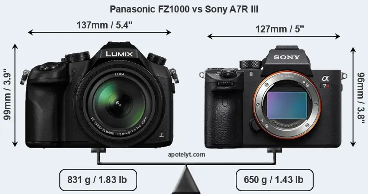 Size Panasonic FZ1000 vs Sony A7R III