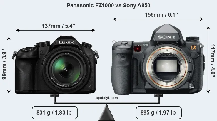 Size Panasonic FZ1000 vs Sony A850