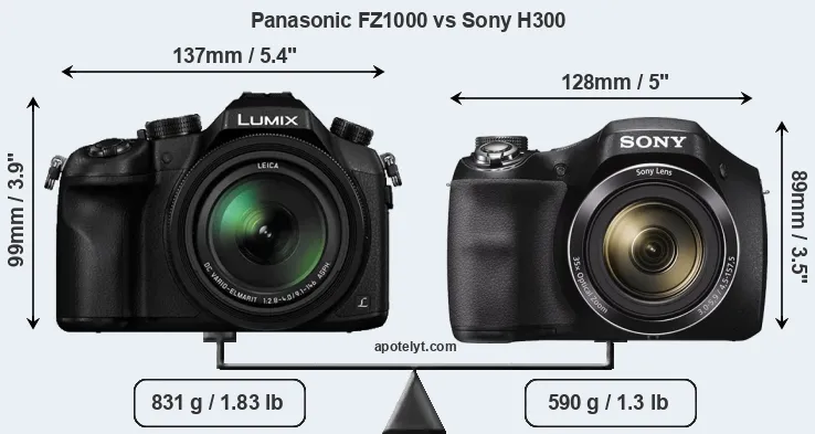 Size Panasonic FZ1000 vs Sony H300