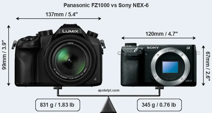 Size Panasonic FZ1000 vs Sony NEX-6