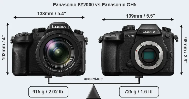 Size Panasonic FZ2000 vs Panasonic GH5