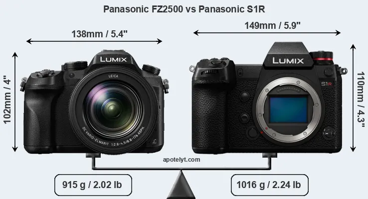 Size Panasonic FZ2500 vs Panasonic S1R