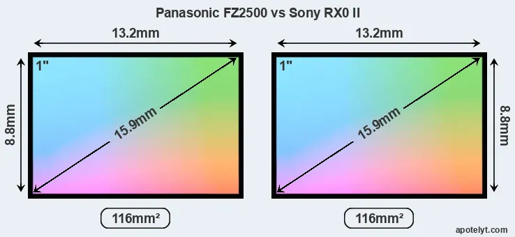 Panasonic FZ2500 and Sony RX0 II sensor measures