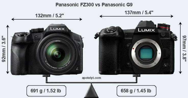 Size Panasonic FZ300 vs Panasonic G9