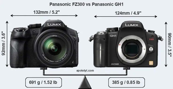 Size Panasonic FZ300 vs Panasonic GH1