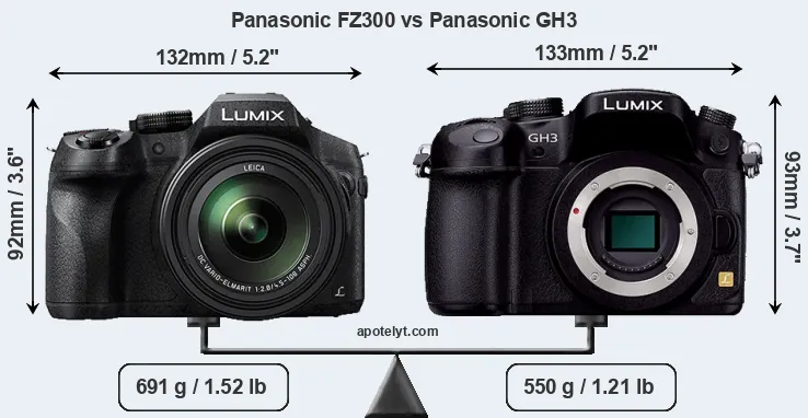Size Panasonic FZ300 vs Panasonic GH3
