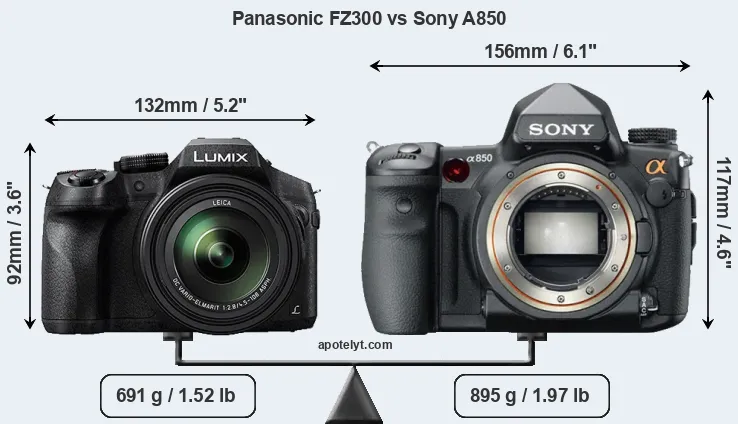 Size Panasonic FZ300 vs Sony A850