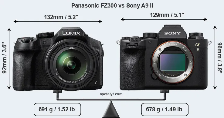 Size Panasonic FZ300 vs Sony A9 II