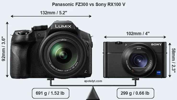 Size Panasonic FZ300 vs Sony RX100 V