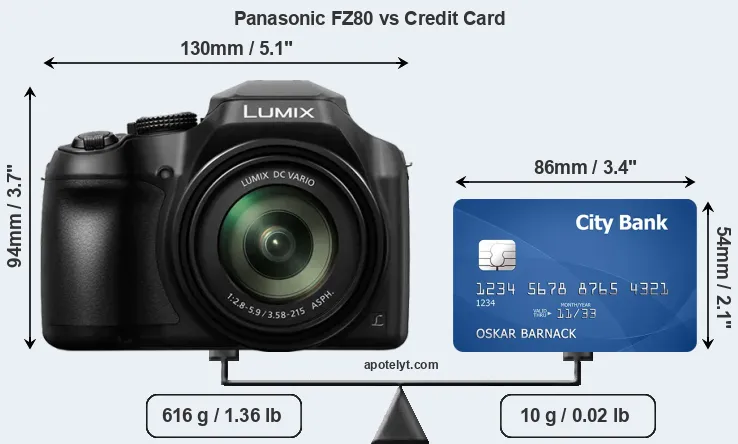 Panasonic FZ80 vs credit card front