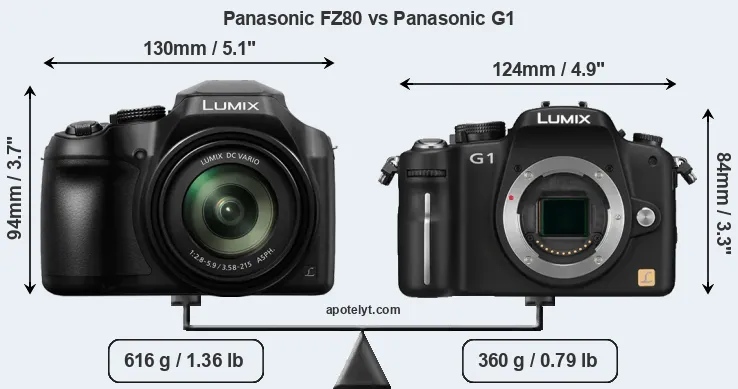 Size Panasonic FZ80 vs Panasonic G1