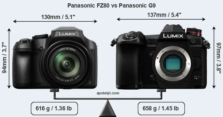 Size Panasonic FZ80 vs Panasonic G9