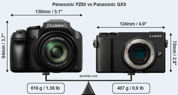 Size Panasonic FZ80 vs Panasonic GX9