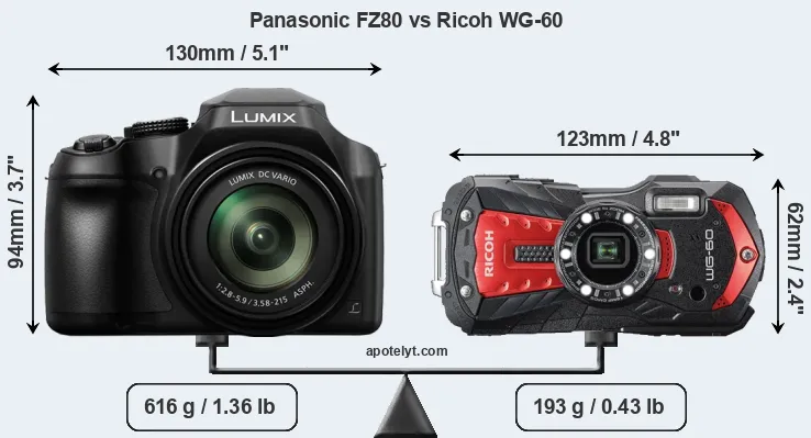 Size Panasonic FZ80 vs Ricoh WG-60