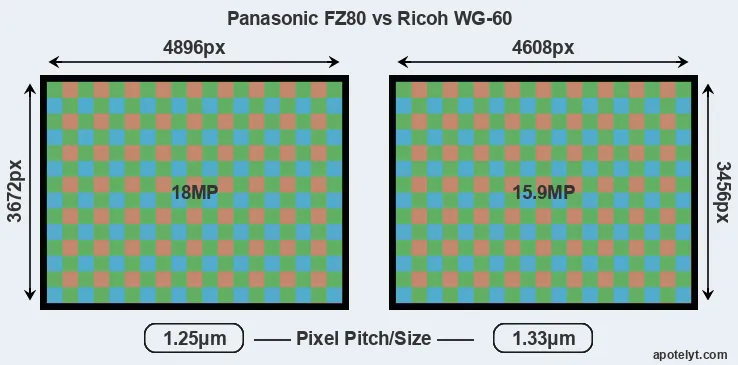 FZ80 versus WG-60 MP