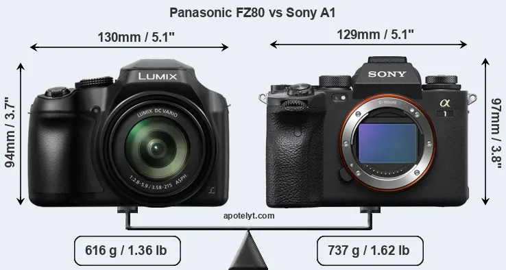 Size Panasonic FZ80 vs Sony A1