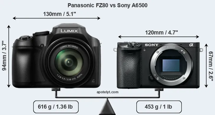 Size Panasonic FZ80 vs Sony A6500