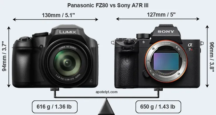 Size Panasonic FZ80 vs Sony A7R III
