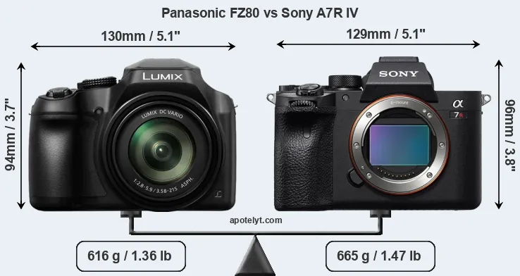 Size Panasonic FZ80 vs Sony A7R IV