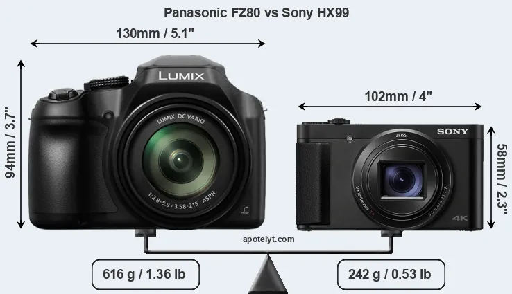 Size Panasonic FZ80 vs Sony HX99