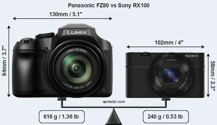 Size Panasonic FZ80 vs Sony RX100