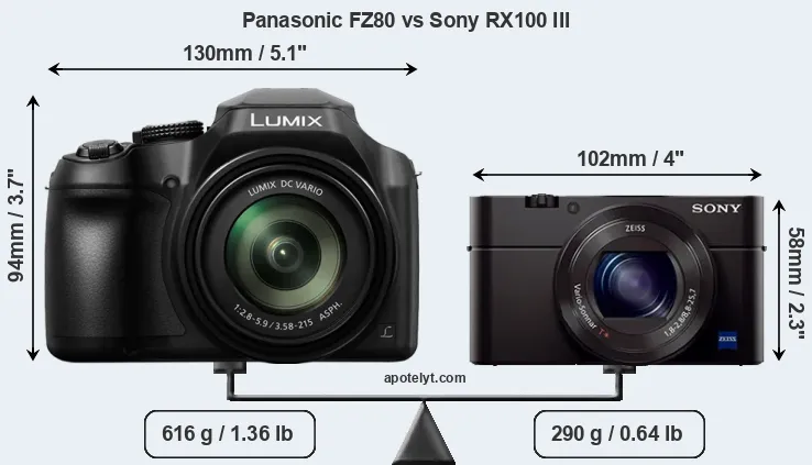 Size Panasonic FZ80 vs Sony RX100 III