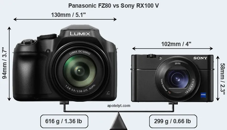 Size Panasonic FZ80 vs Sony RX100 V