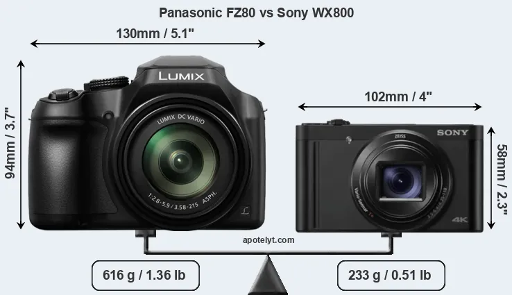 Size Panasonic FZ80 vs Sony WX800