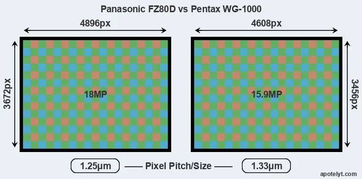 FZ80D versus WG-1000 MP