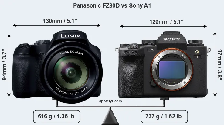 Size Panasonic FZ80D vs Sony A1