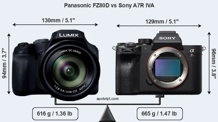 Size Panasonic FZ80D vs Sony A7R IVA