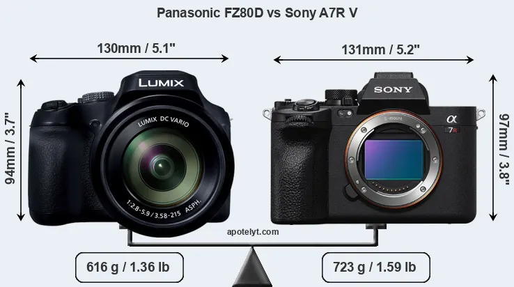 Size Panasonic FZ80D vs Sony A7R V